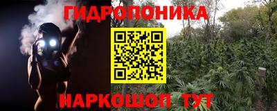 шишки Коммунар