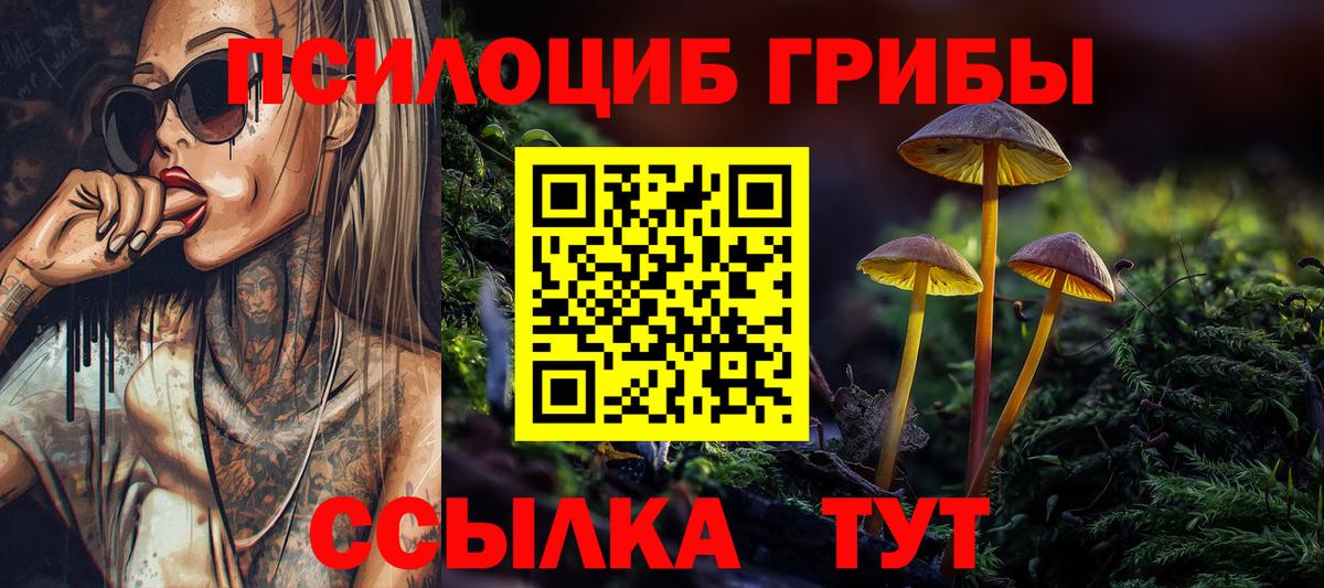 Изобильный  Галлюциногенные грибы Cubensis  Вход с VPN 