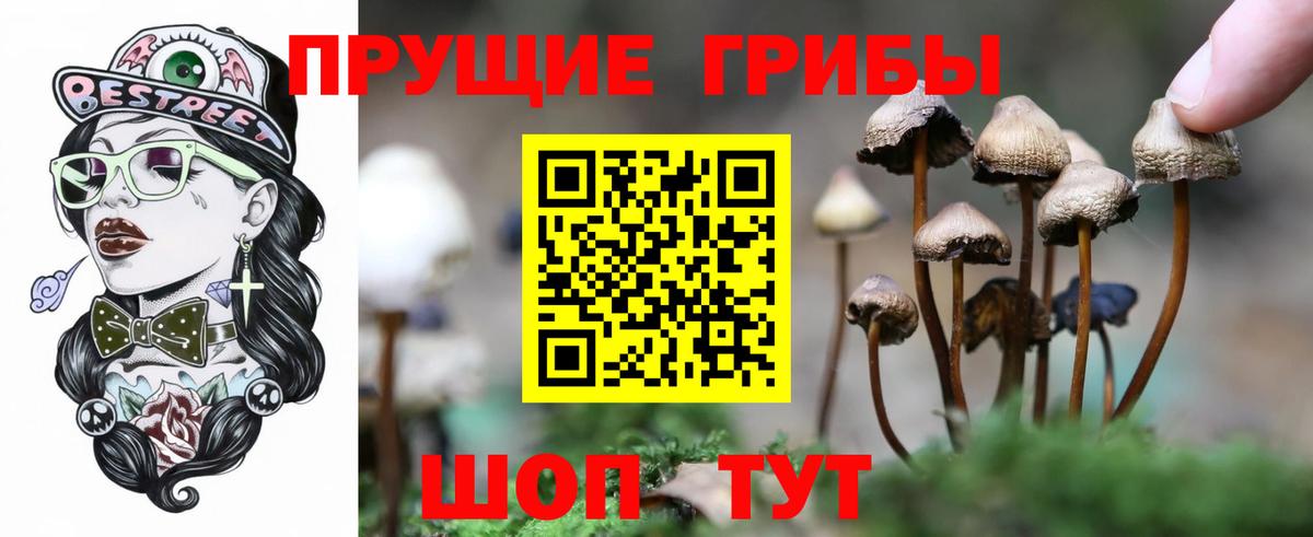 Псилоцибиновые грибы GOLDEN TEACHER Изобильный